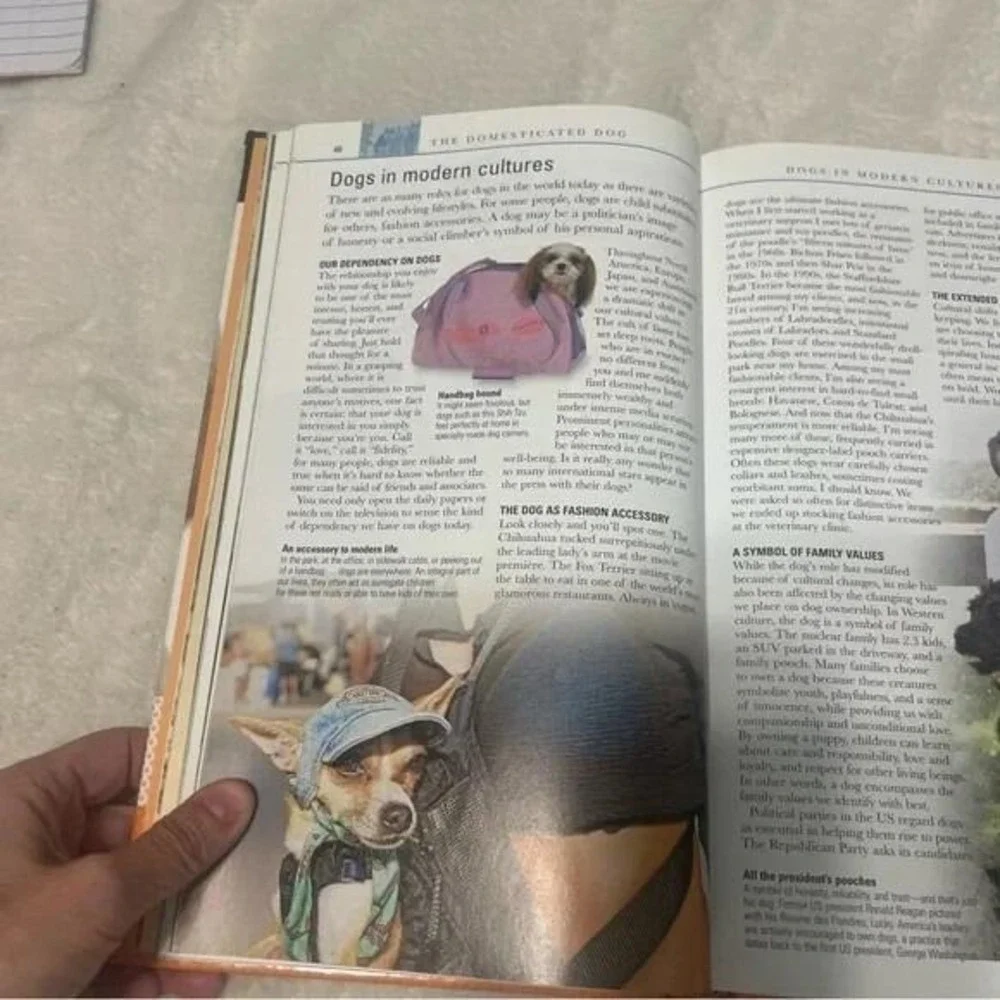 Eyewitness Companions Dogs Breeds Training Healthcare Behavior Training Book